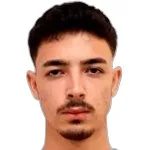 أردا أوسلوغلو