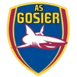Gosier