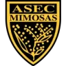 أسيك ميموزا